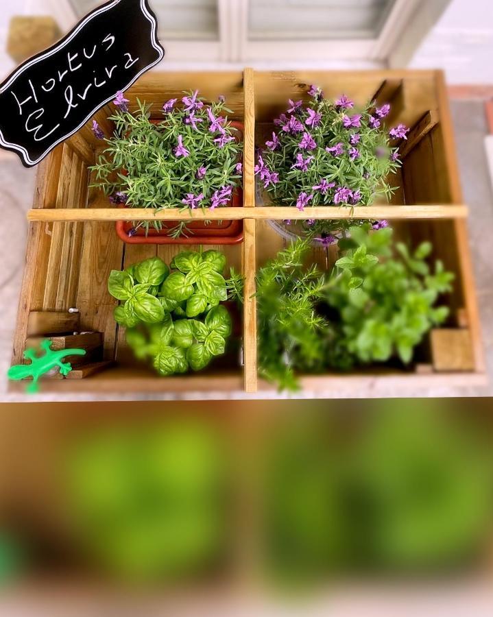 Sky And Green Luxury Apartament 보스코리알레 외부 사진